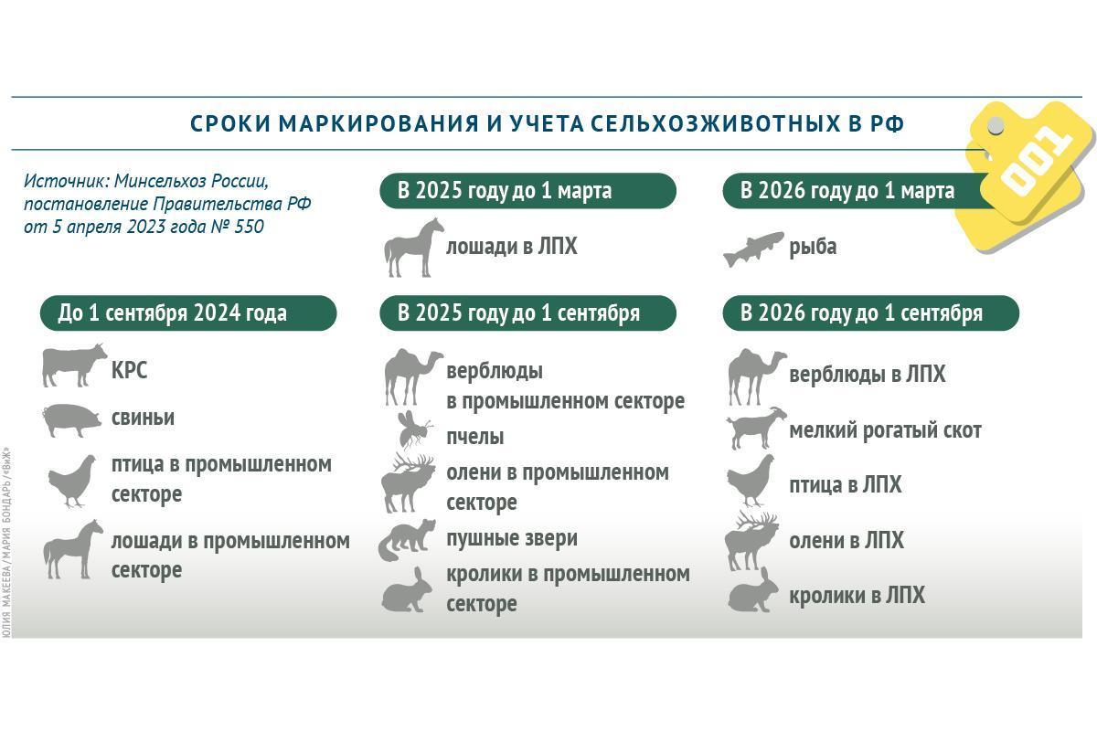 Внимание - ветеринарный учет животных!.